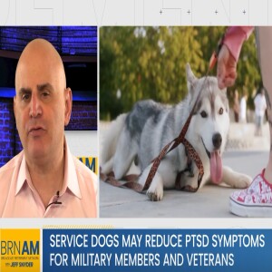 Service Dogs may Reduce PTSD Symptoms for Military Members and Veterans