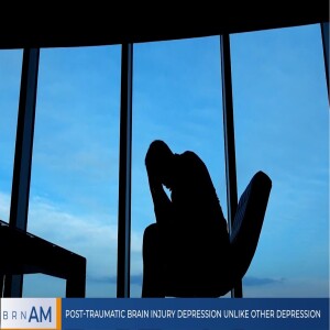 #BRNAM #1449 |  Post-traumatic brain injury depression unlike other depression