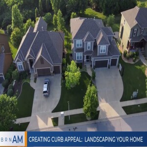 Creating curb appeal:  Landscaping your home