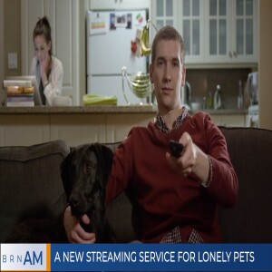 A new streaming service for lonely pets