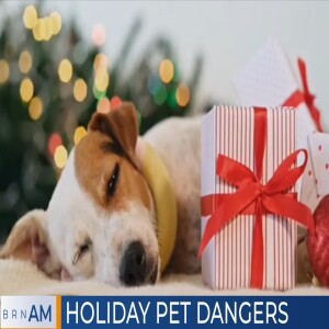Holiday Pet Dangers