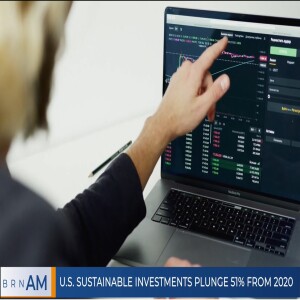 BRN AM |  U.S. Sustainable Investments Plunge 51% from 2020