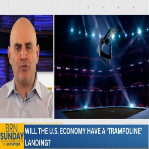 Will the U.S. Economy have a ’Trampoline’ landing?