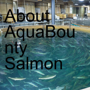 About AquaBounty Salmon