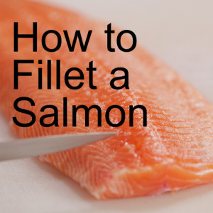 How to Fillet a Salmon