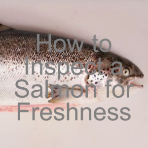 How to Inspect a Salmon for Freshness