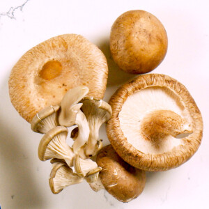 Introduction to Mushrooms in the Plant-Forward Kitchen