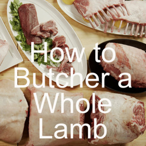 How to Butcher a Whole Lamb