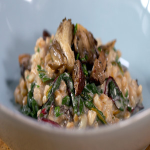Mushroom Monterey Jack Farrotto