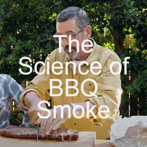 The Science of Smoke: Mastering Barbecue with Tuffy Stone