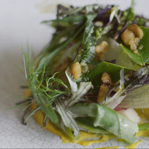 Seasonal Salad at Vanderlyle Restaurant in Cambridge, UK