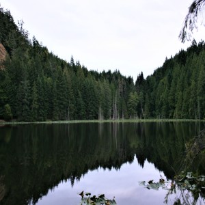 Pender Island Nature Series - Roe Lake