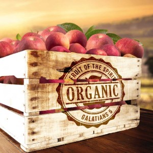 Organic Part 8