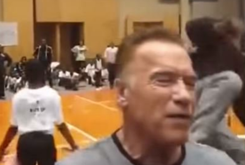 Bulls in the Ring