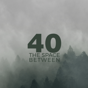 40 The Space Between Part 4 - Pastor Meredith Bagby