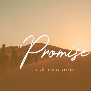 THE PROMISE - week one