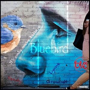 Episode 109-A: Bluebird