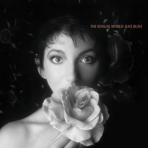 What Came Next...Kate Bush "The Sensual World"