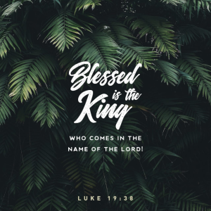 Palm Sunday Reflections - The Triumphal Entry 