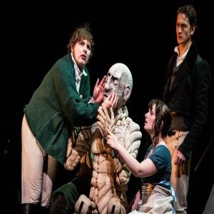 Frankenstein at the New Theatre Royal Lincoln