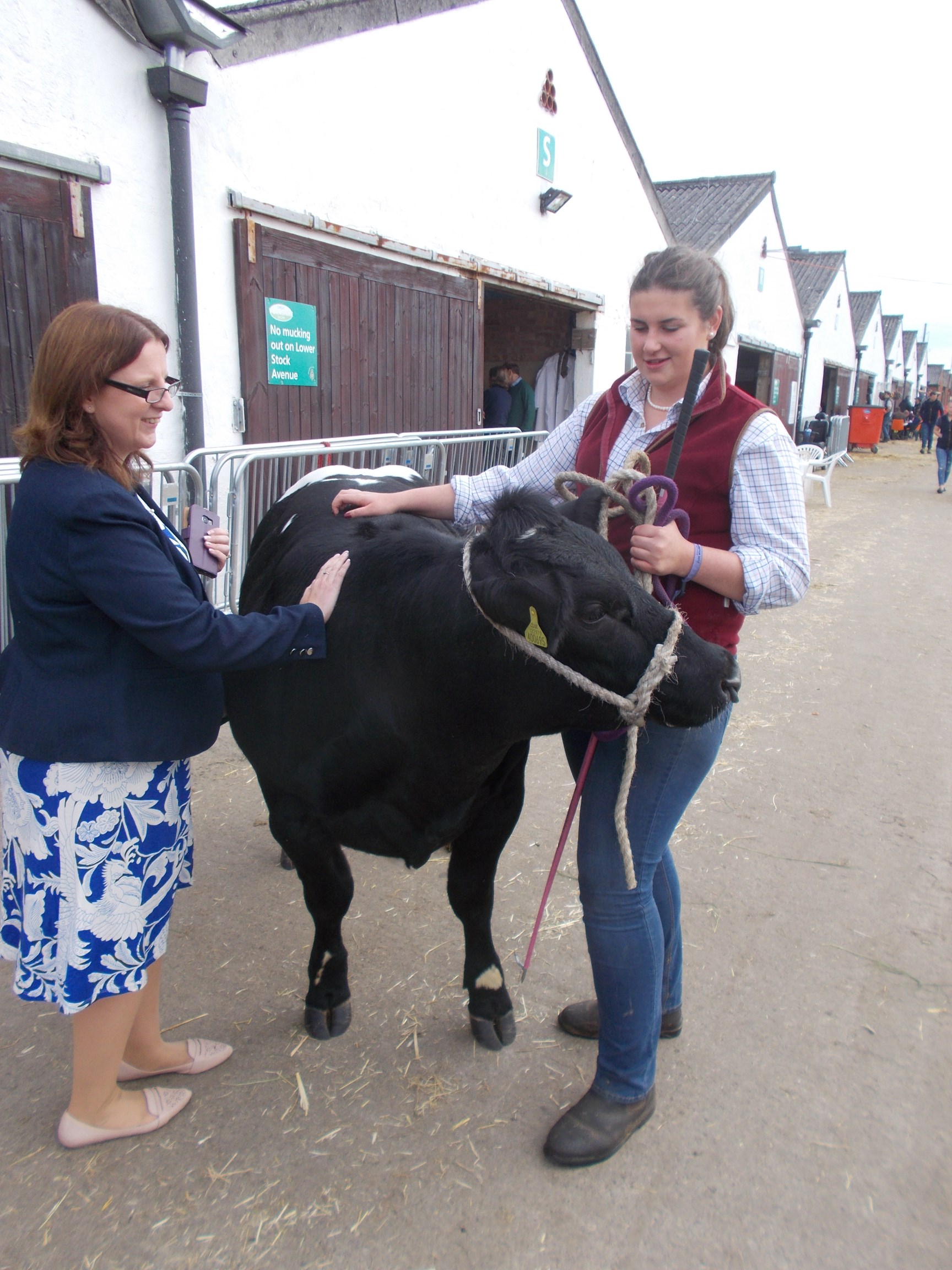 Great Yorkshire Show 2017 Part 2