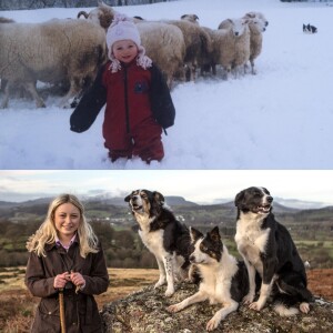 72. The Sheepdog Farmer, Erin McNaught