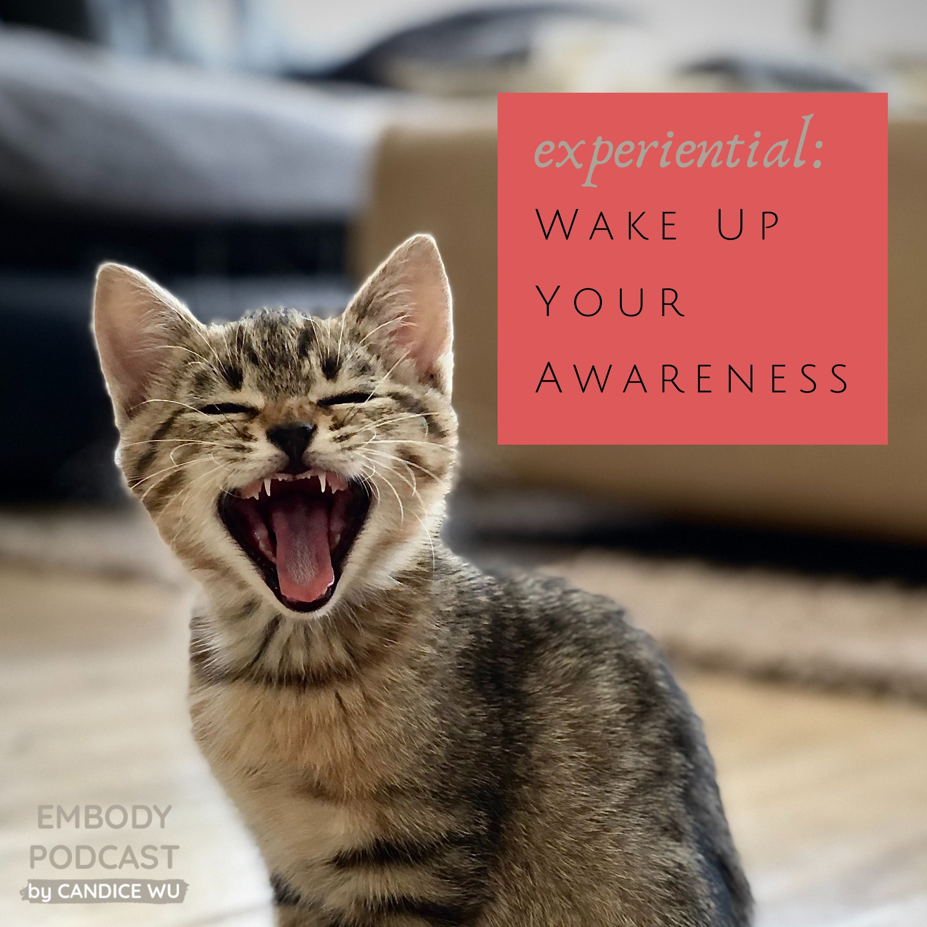 177-experiential-wake-up-your-awareness