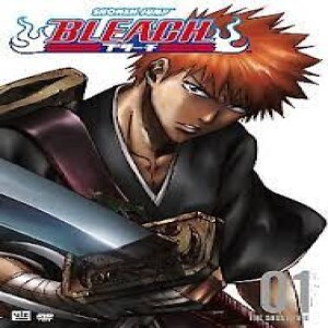 Bleach: Season 1 ”Back to Back, a Fight to the Death!” & ”Kon’s Great Plan!”