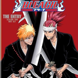 Bleach ”Stars and the Stray” & ”Miracle! The Mysterious New Hero”