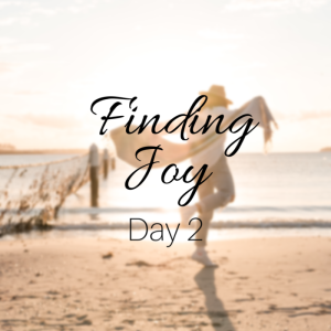 Finding Joy Day 2