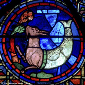 The Catholic Alchemist 5.9 - The Zodiac - Capricorn 🇪