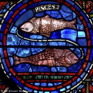 The Catholic Alchemist 5.11 - The Zodiac - Pisces 🇪