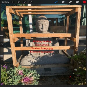 My heartsongs 272 Holiday Help, Healing & Hope