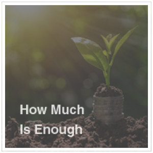 How Much is Enough | Scott Rodin