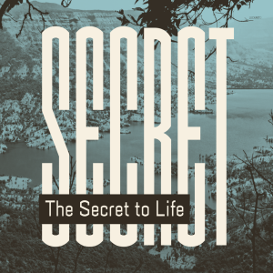 The Secret to Life