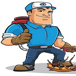 Công Ty Diệt côn trùng TPHCM