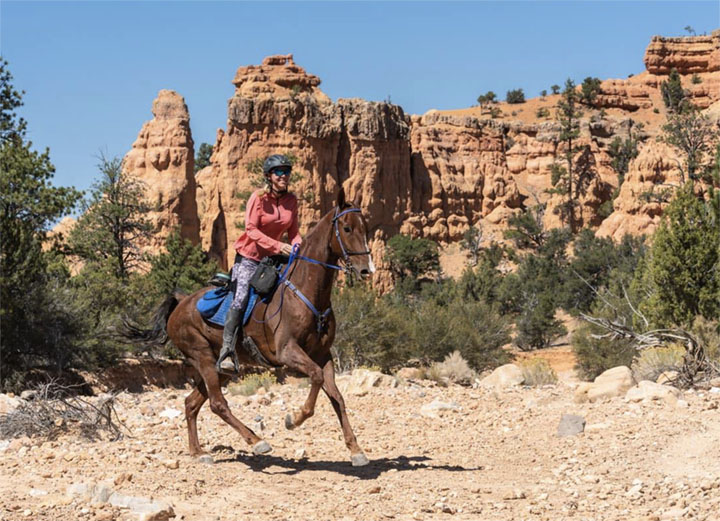 Endurance Horse Podcast