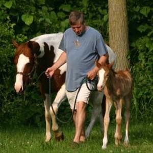 Non-Traditional Endurance Horses