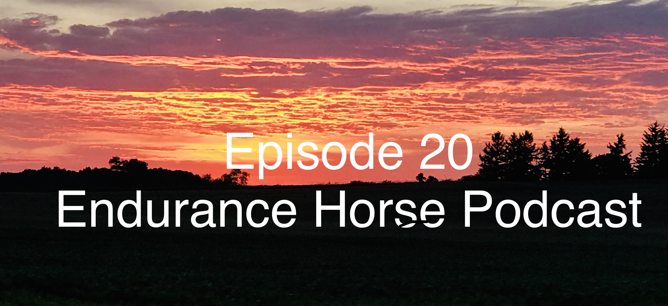 Endurance Horse Podcast