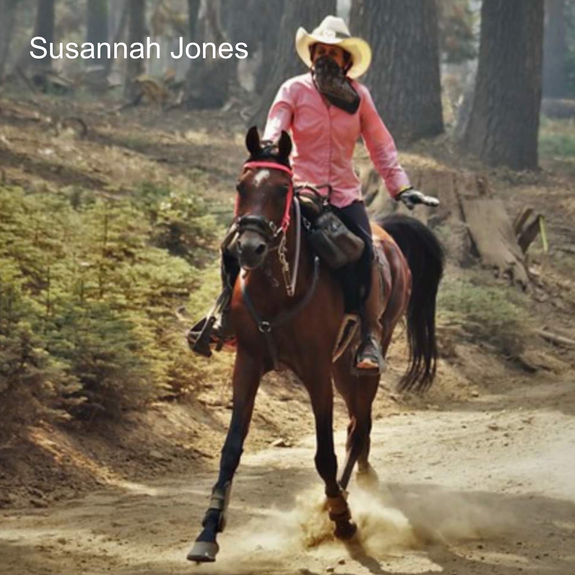 Endurance Horse Podcast