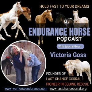 Victoria Goss- Hold Fast to Your Dreams- Last Chance Corral