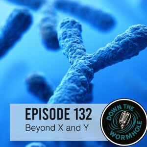 Mis/Disinformation Part 2: Beyond X and Y