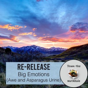 RE-RELEASE: Big Emotions (Awe and Asparagus Urine)