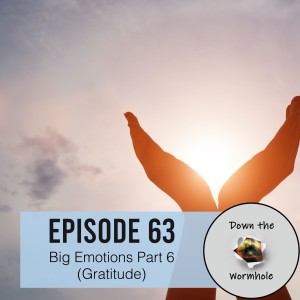 Big Emotions Part 6 (Gratitude)