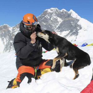 Stray Pup in Nepal Follows Mountain Climbers to The Top in Amazing Feat – May Be the World Record for a Dog