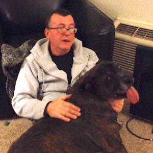 Homeless Man’s Life Completely Changes After He Pays Back Animal Shelter That Kindly Cared for His Dog