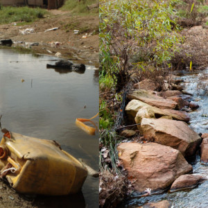 Veteran Given 4 Months to Live Transforms Polluted Creek – and Gets 27 More Years Because of It