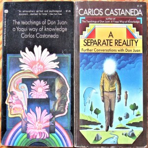 Ep 125 Part B - reading of Carlos Casteneda - Yaqui way of knowledge