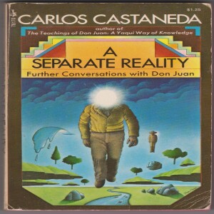 EP 187 - Carlos Castaneda - Learning to perceive the layers of reality - Walking a path with Heart - Living a life with purpose