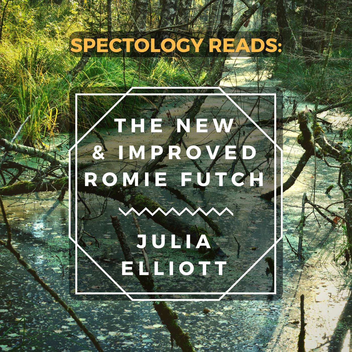 4.1: The New & Improved Romie Futch pre-read